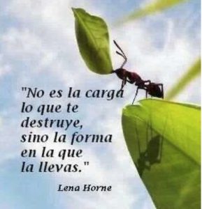 Acerca de las cargas de la vida